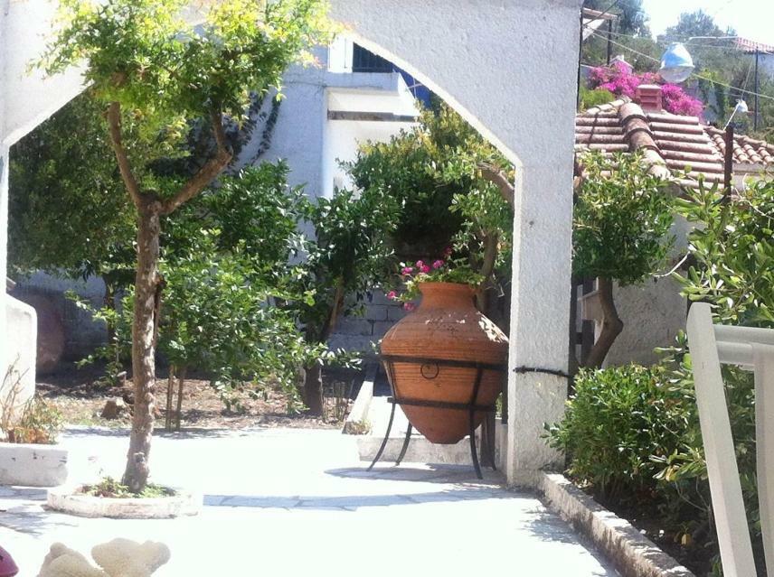 Villa Alexandra Paleo Trikeri Εξωτερικό φωτογραφία
