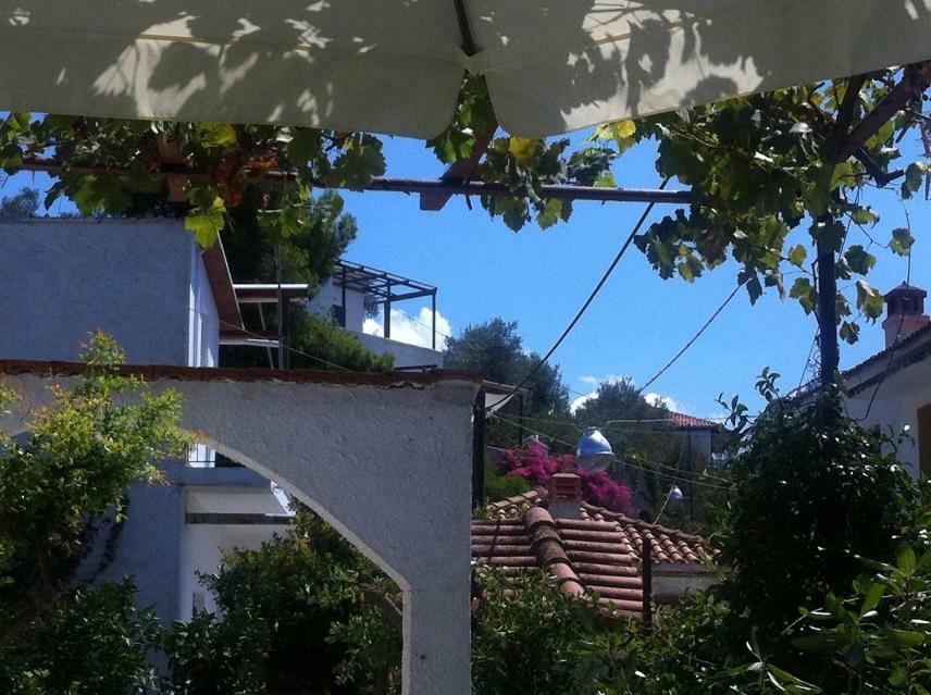 Villa Alexandra Paleo Trikeri Εξωτερικό φωτογραφία